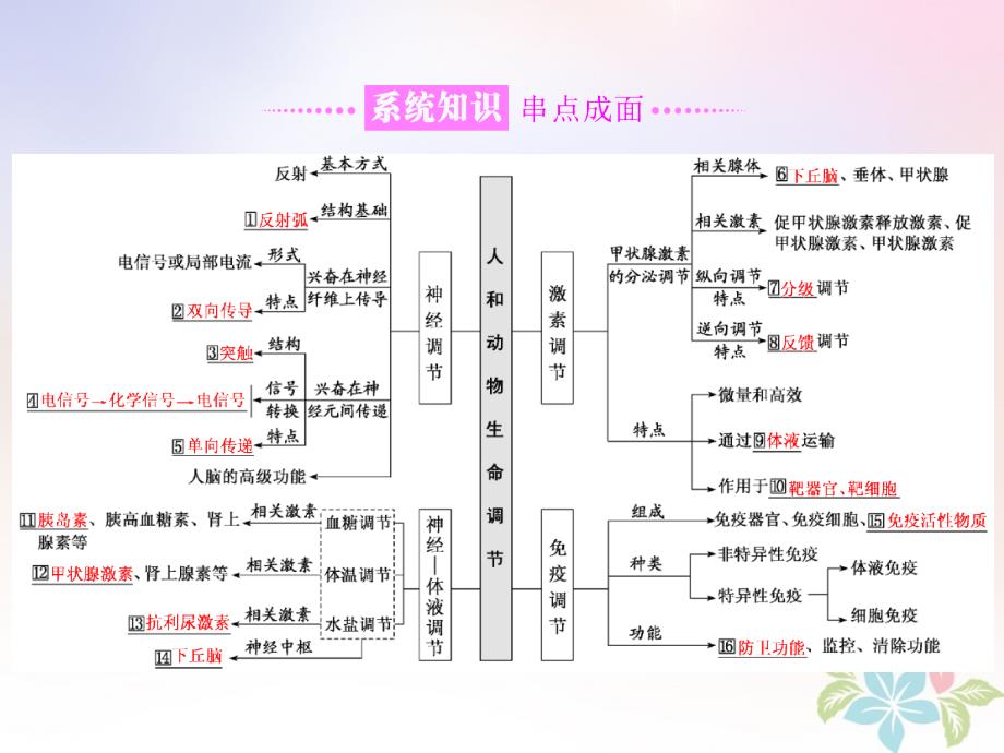 2018年高考生物二轮复习专题四调节串讲一内环境稳态及调节第1课时基础自查课件_第2页