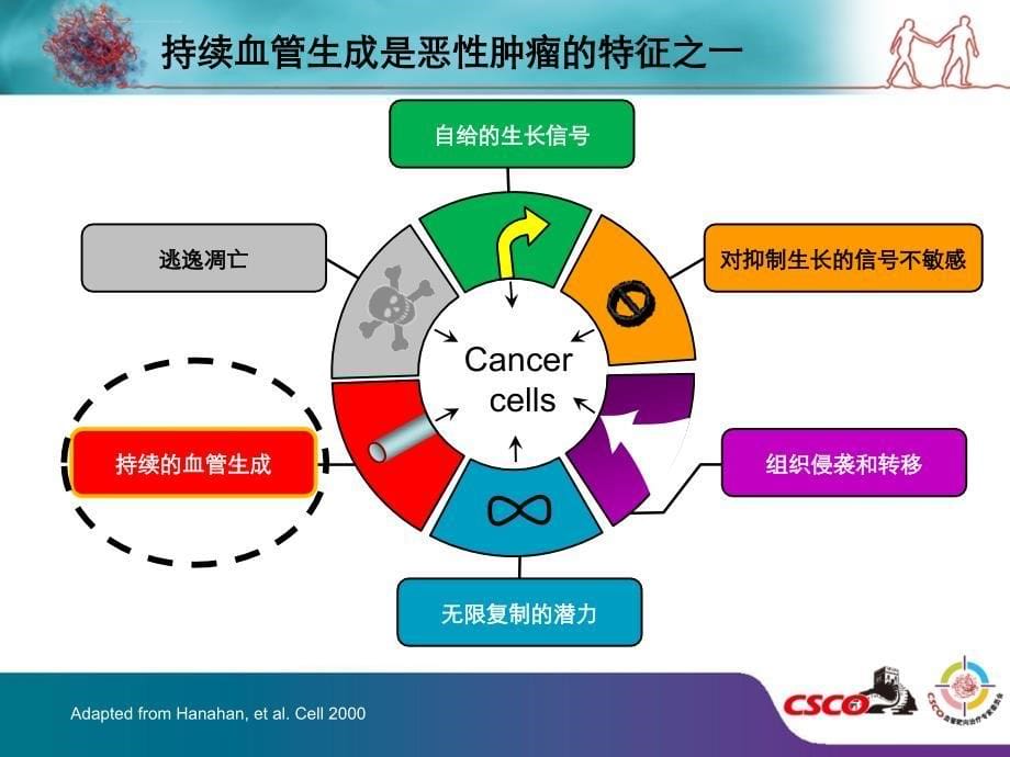 抗血管生成对于肿瘤治疗的重要意义ppt课件_第5页