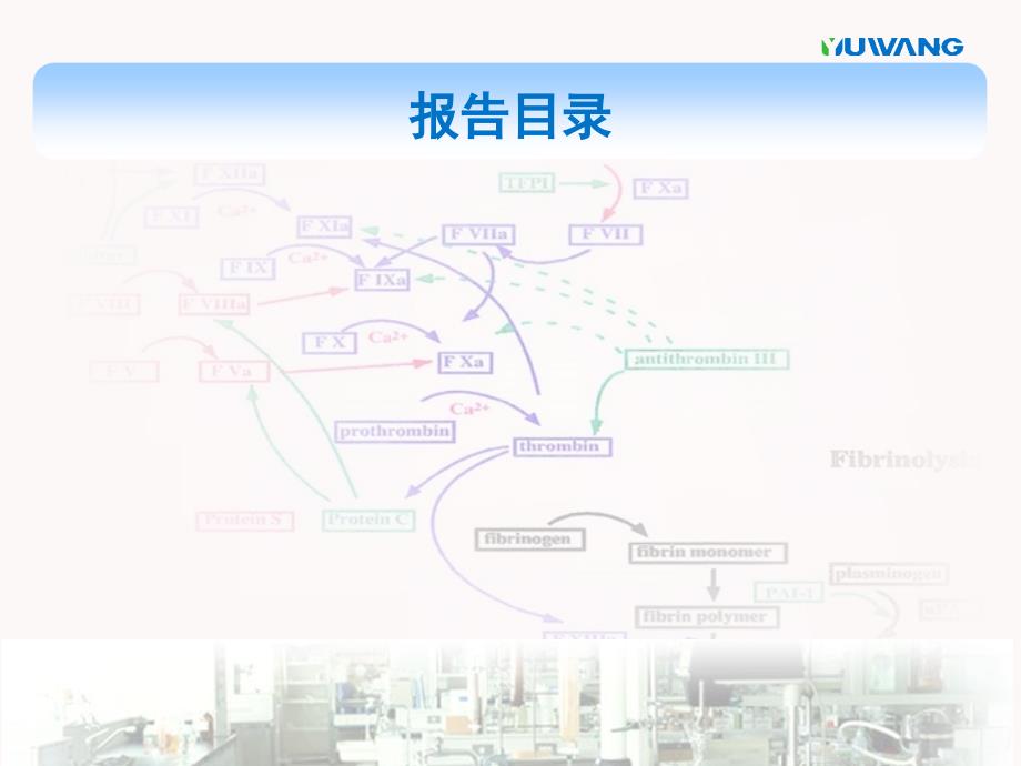 壳聚糖系列止血及创口护理产品明刚ppt课件_第2页