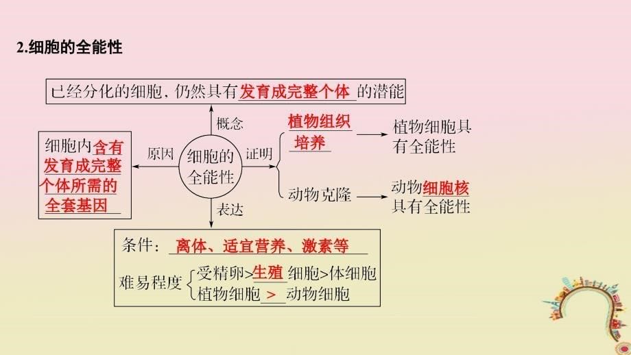 2019版高考生物一轮复习第五单元细胞的生命历程第11讲细胞的分化、衰老、凋亡和癌变创新备考课件中图版_第5页