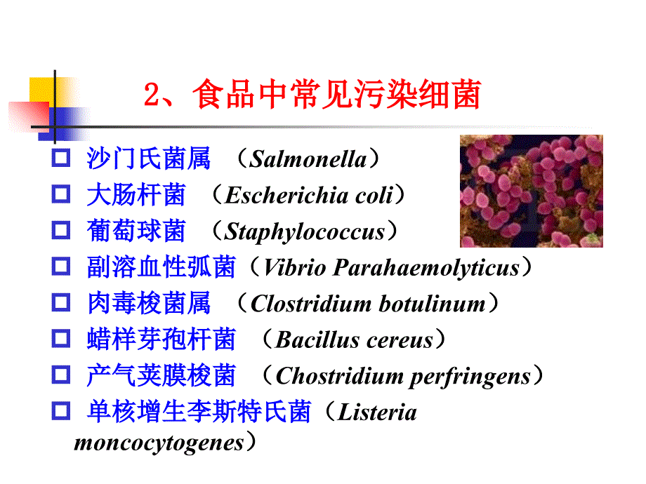 安全性第二章123节幻灯片_第3页