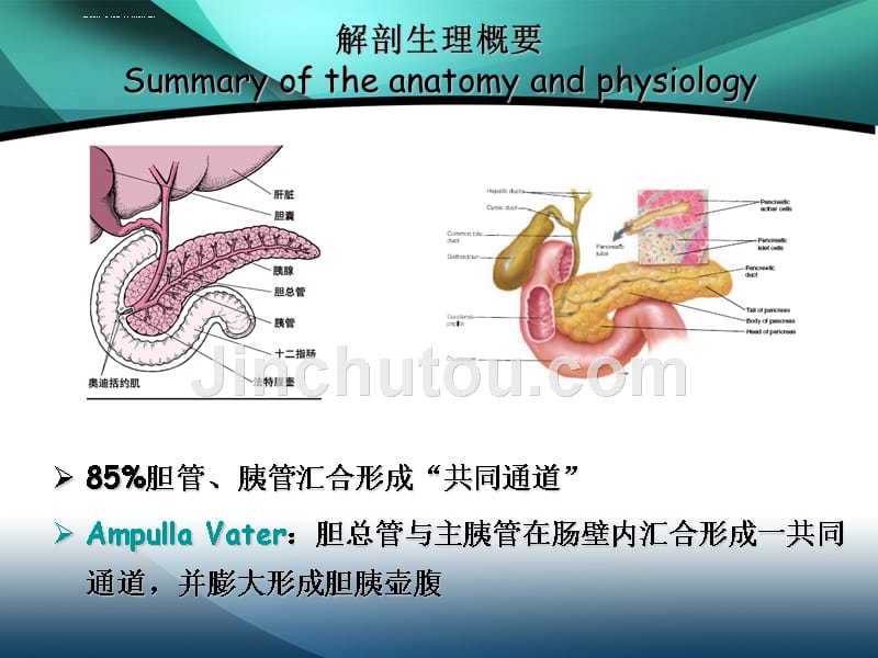 急性胰腺炎ppt课件_第4页