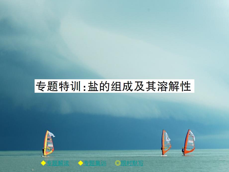 2018春九年级化学下册专题特训盐的组成及其溶解性习题课件（新版）新人教版_第1页