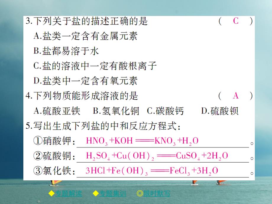 2018春九年级化学下册专题特训盐的组成及其溶解性习题课件（新版）新人教版_第4页