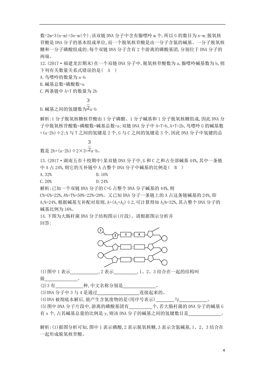 2017-2018学年高中生物第3章基因的本质第2节dna分子的结构课时训练新人教版必修2_第4页