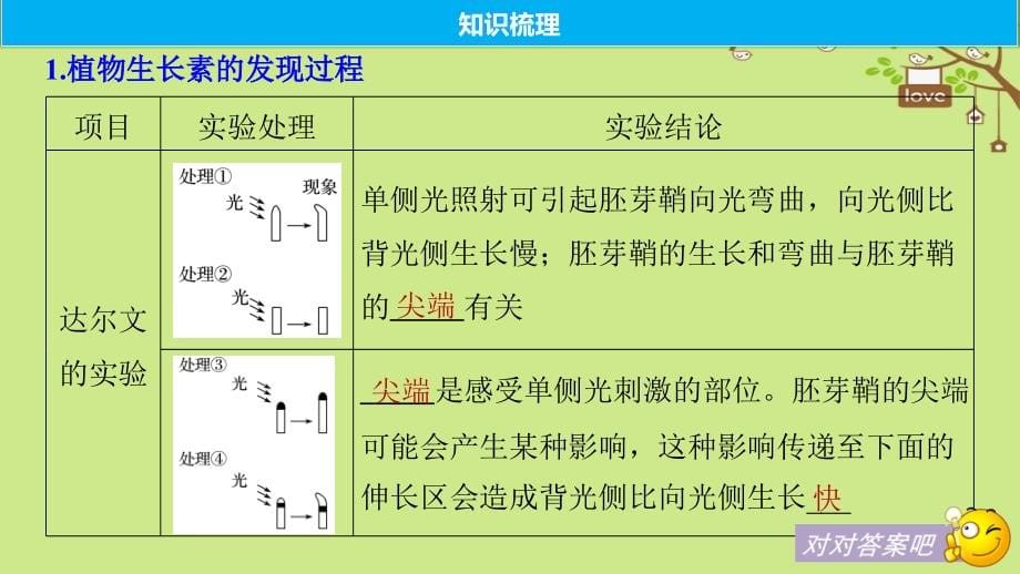 2018-2019学年高考生物大一轮复习第八单元生命活动的调节第27讲植物的激素调节课件_第5页