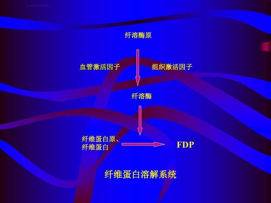 抗凝药ppt课件_第5页