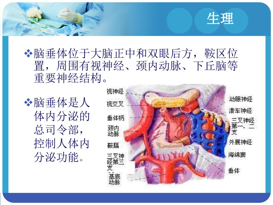 垂体瘤护理ppt课件_第3页