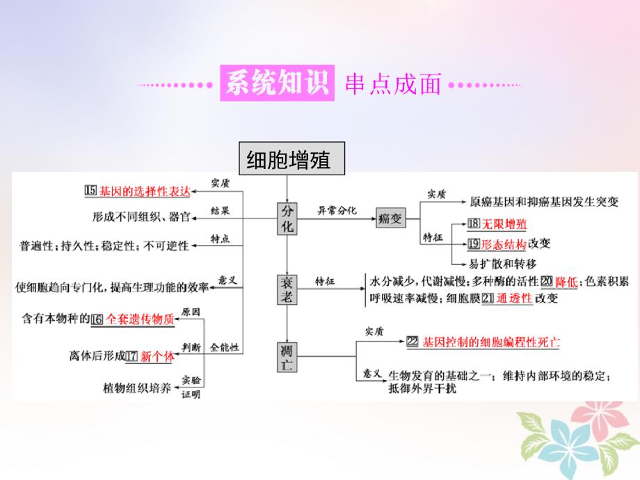 2018年高考生物二轮复习专题一细胞串讲二细胞的生命历程第1课时基础自查课件_第3页