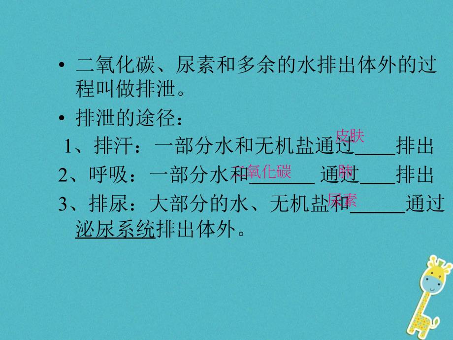 吉林省长春市七年级生物下册4.5.1人体内废物的排出课件2新人教版_第4页