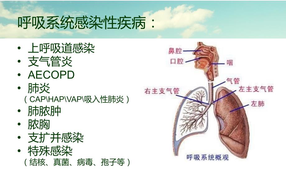 呼吸系统感染性疾病与抗菌治疗ppt课件_第2页