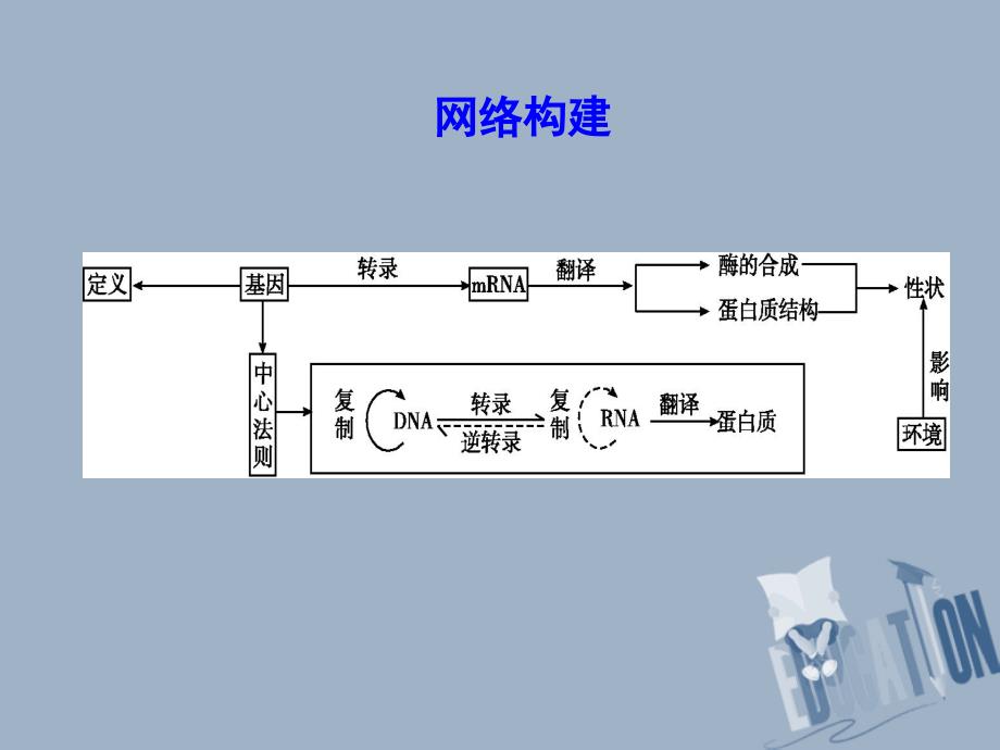 2017-2018学年高中生物第4章基因的表达章末整合课件新人教版必修2_第3页