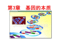 高二生物基因的本质如何理解DNA是主要的遗传物质,RNA也是遗传物质