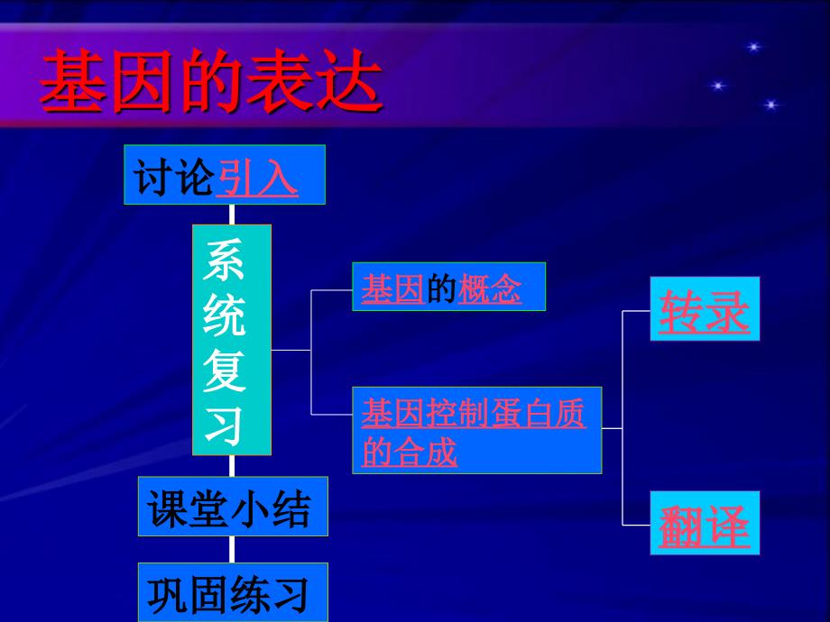 基因的表达11669ppt课件_第3页