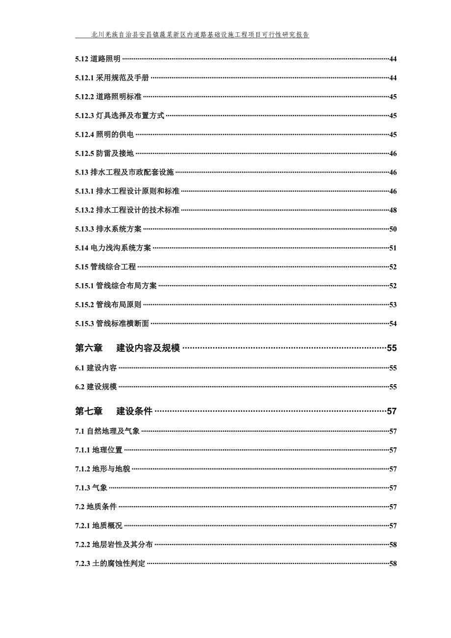 蔬菜新区市政基础设施灾后恢复重建工程可行性研究报告_第5页