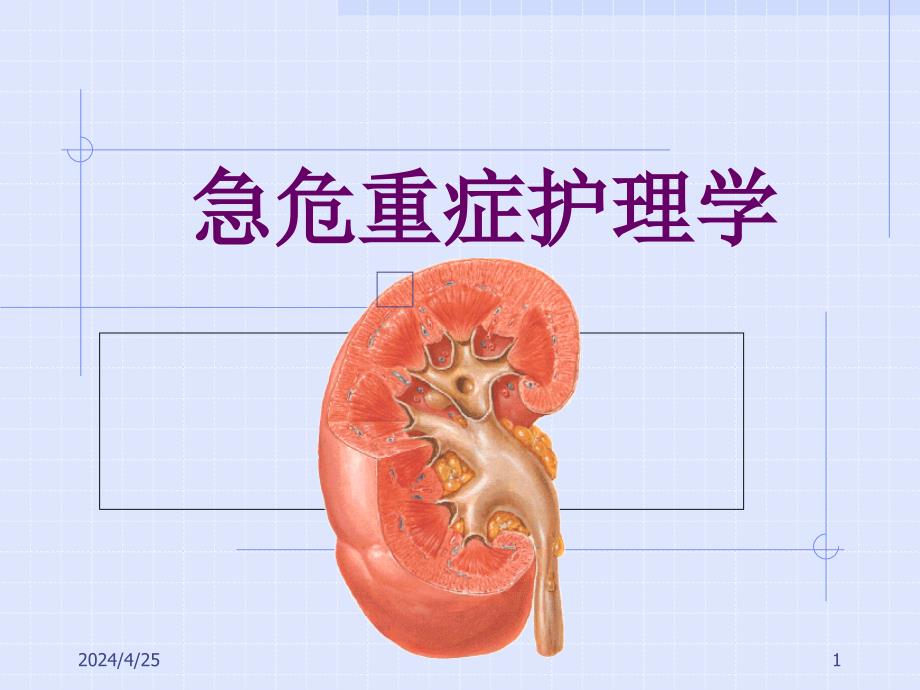 急护12肾衰ppt课件_第1页