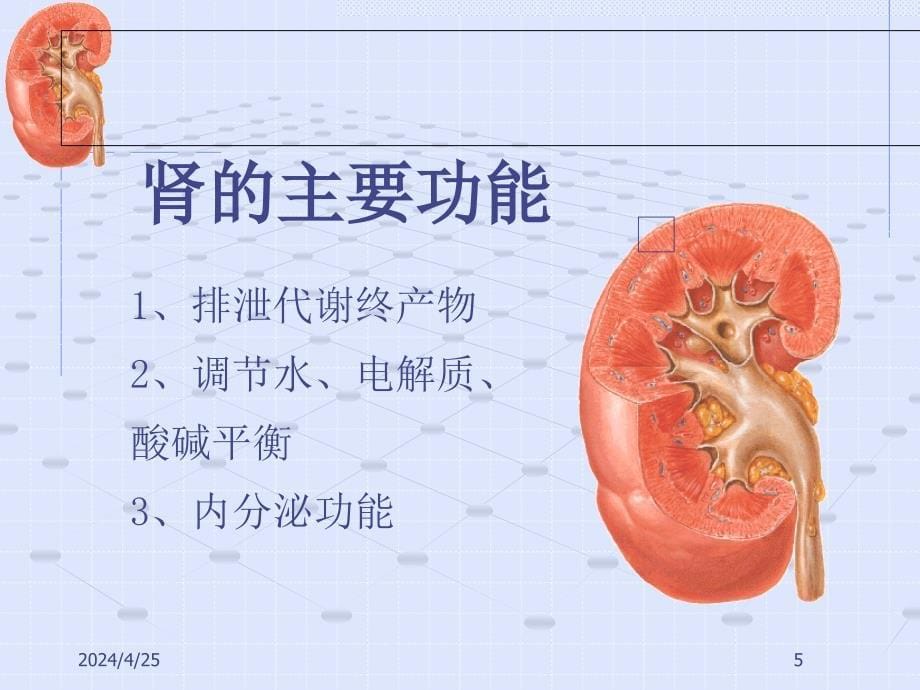 急护12肾衰ppt课件_第5页