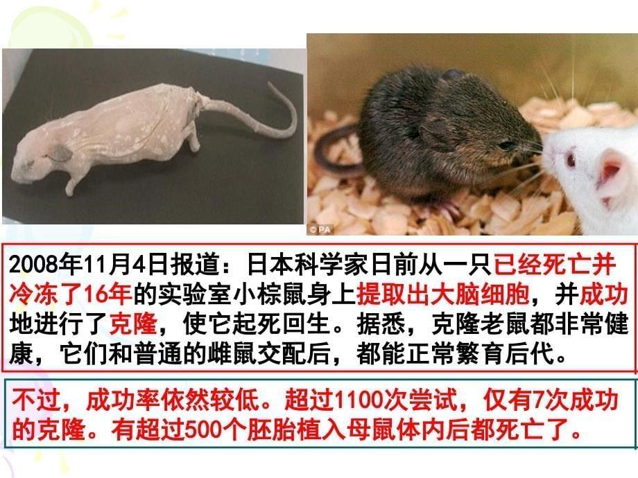 关注生物技术的伦理问题新_第5页