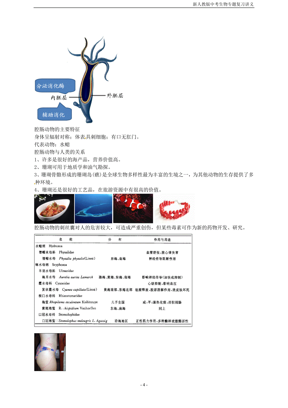 2018年中考生物专题复习十三动物的分类一无脊椎动物讲义新人教版_第4页