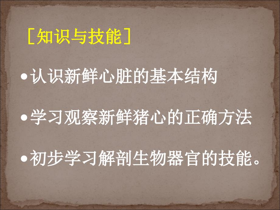 哺乳动物心脏的解剖和观察ppt课件_第4页