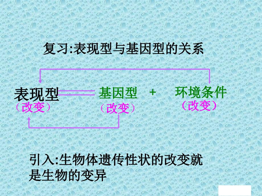 基因突变的ppt课件_第4页