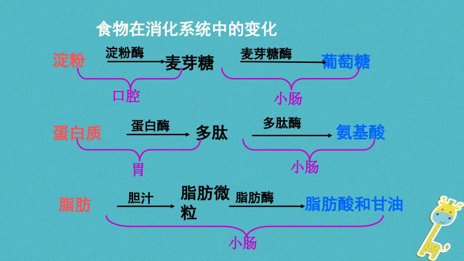 广东中山市2018七年级生物下册4.3.1呼吸道对空气的处理课件（新版）新人教版_第1页