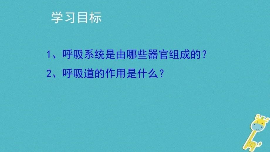 广东中山市2018七年级生物下册4.3.1呼吸道对空气的处理课件（新版）新人教版_第5页