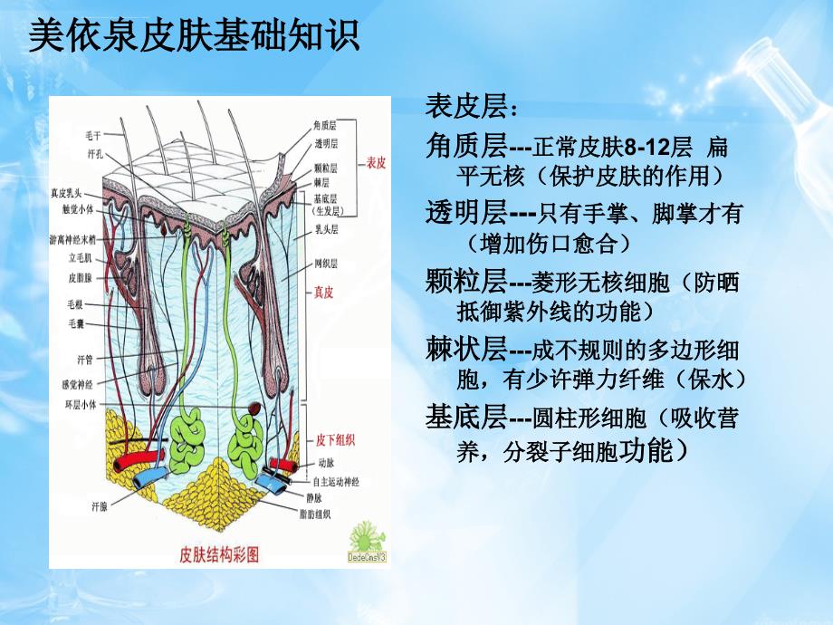 兰蔻美依泉产品讲解ppt课件_第4页