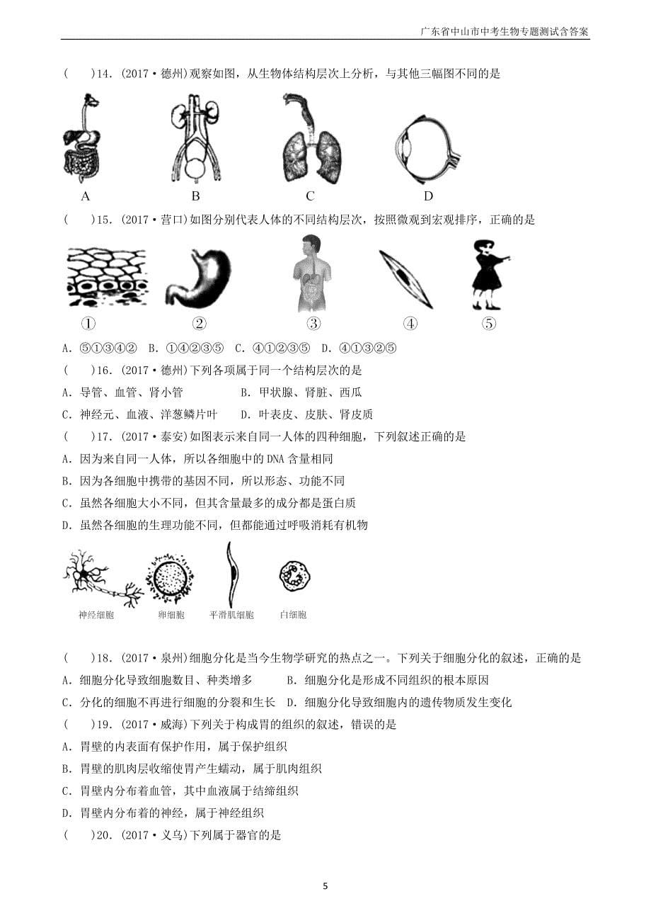 广东省中山市2018年中考生物专题复习第二单元生物体的结构层次第二章细胞怎样构成生物体_第5页