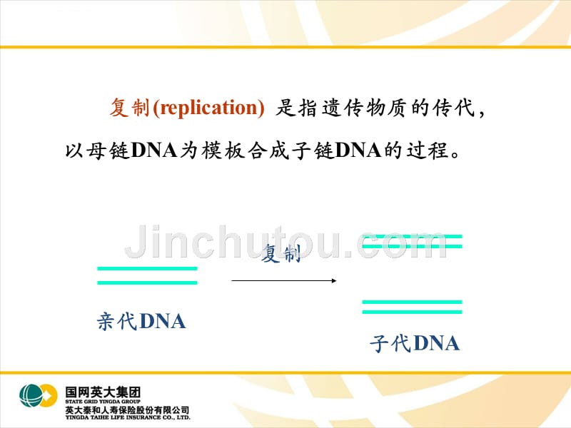 复制与突变ppt课件_第3页