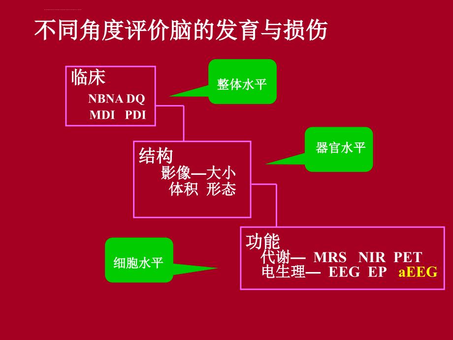 对新生儿脑功能监测意义ppt课件_第3页