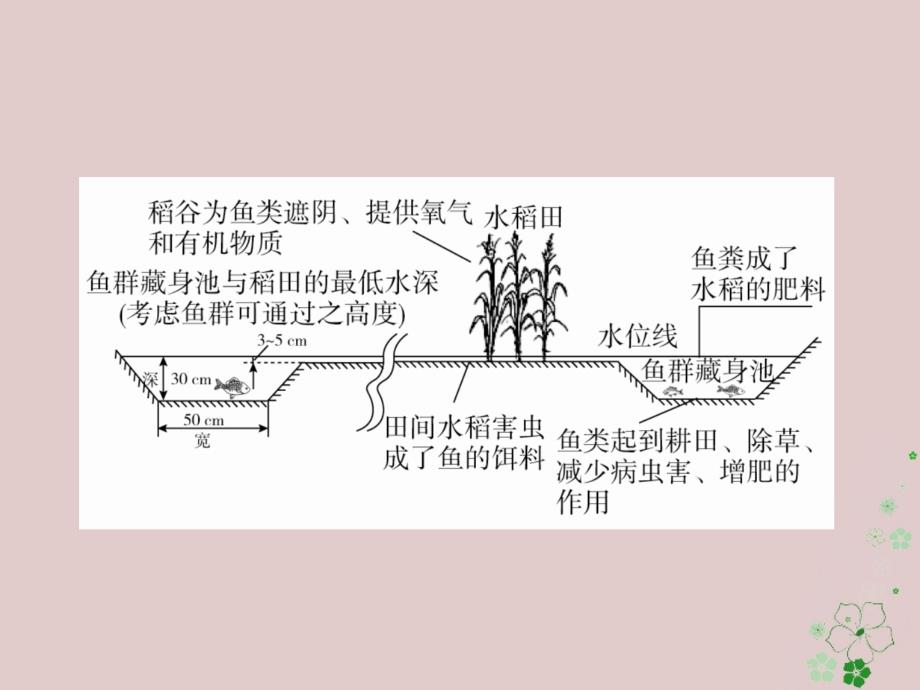 2018年高考地理二轮复习第一篇专题与热点专题四区域地理与区域可持续发展第3讲区域经济联系与可持续发展对策习题课件_第3页