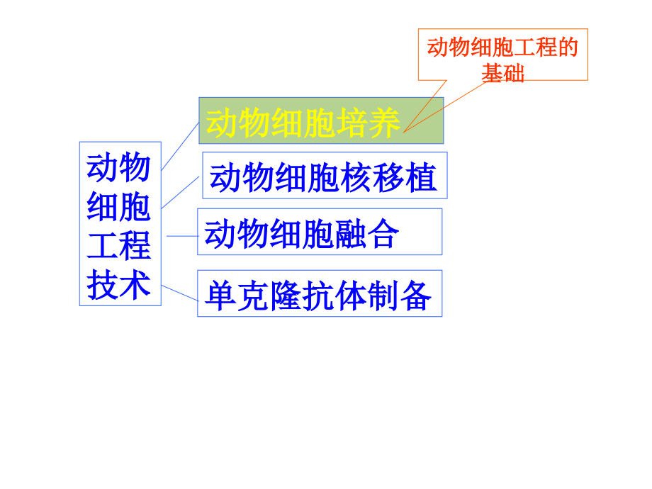 动物细胞工程ppt课件_第2页