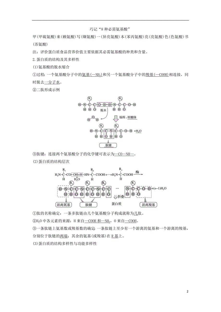 2019版高考生物一轮复习第二单元细胞的自我保障第3讲细胞中的蛋白质创新备考学案中图版_第2页