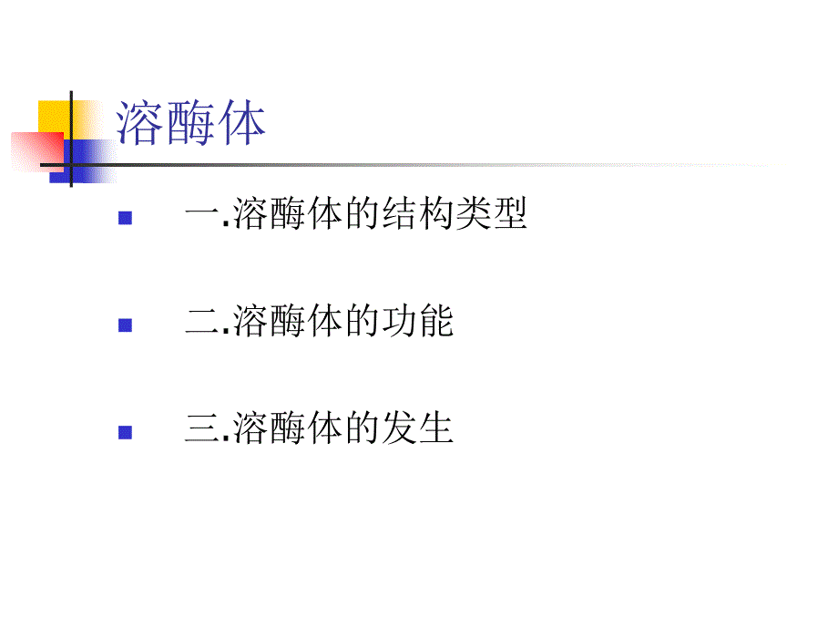 典型蛋白质结构分子的功能和代谢溶酶体ppt课件_第2页