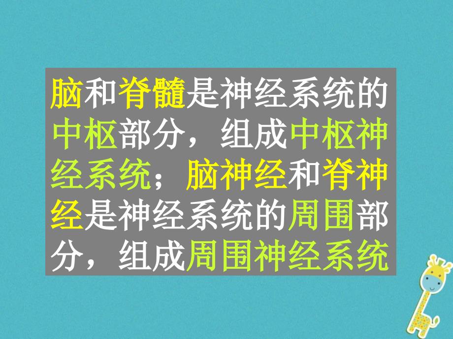 吉林省长春市七年级生物下册4.6.2神经系统的组成课件1新人教版_第4页