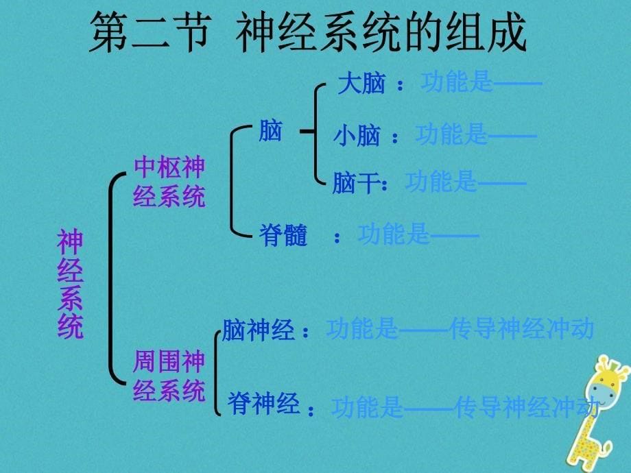 吉林省长春市七年级生物下册4.6.2神经系统的组成课件1新人教版_第5页