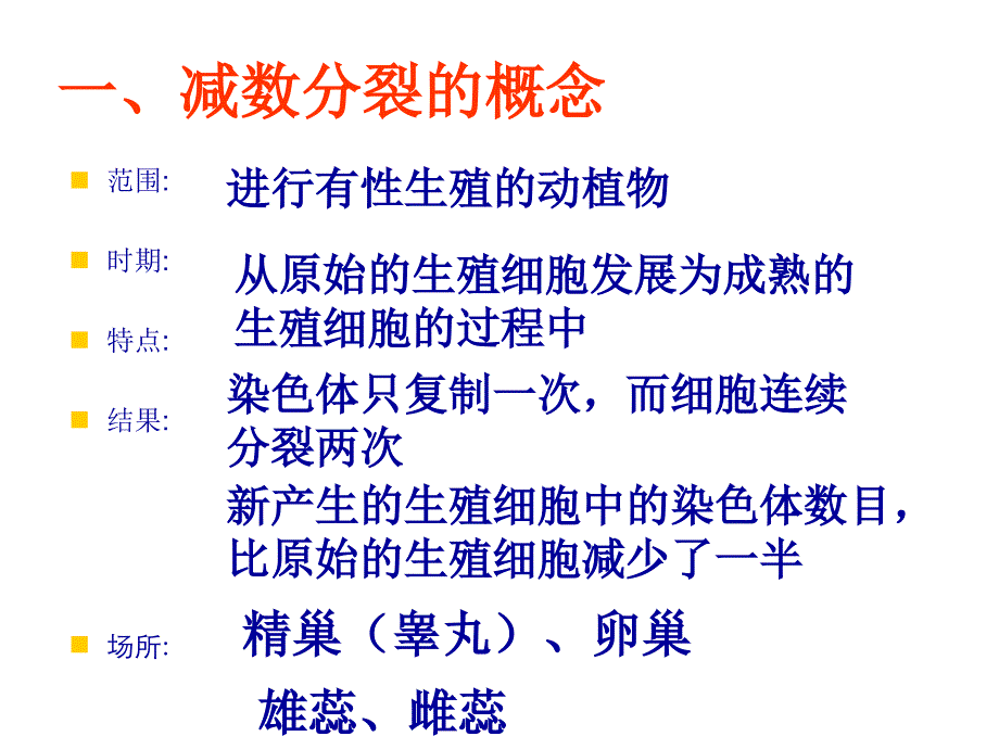 减数分裂ppt课件_第2页