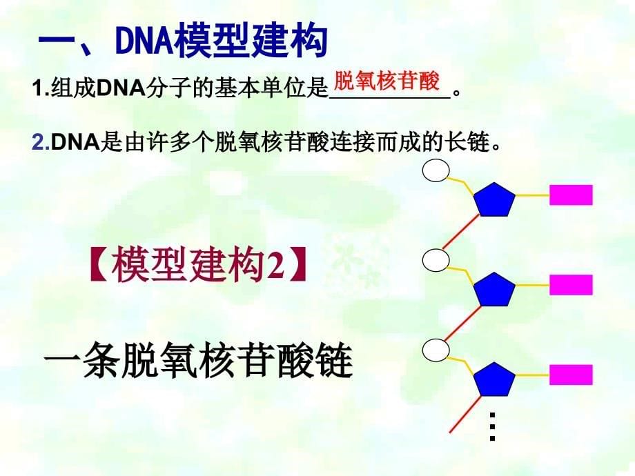 分子的结构ppt课件_第5页