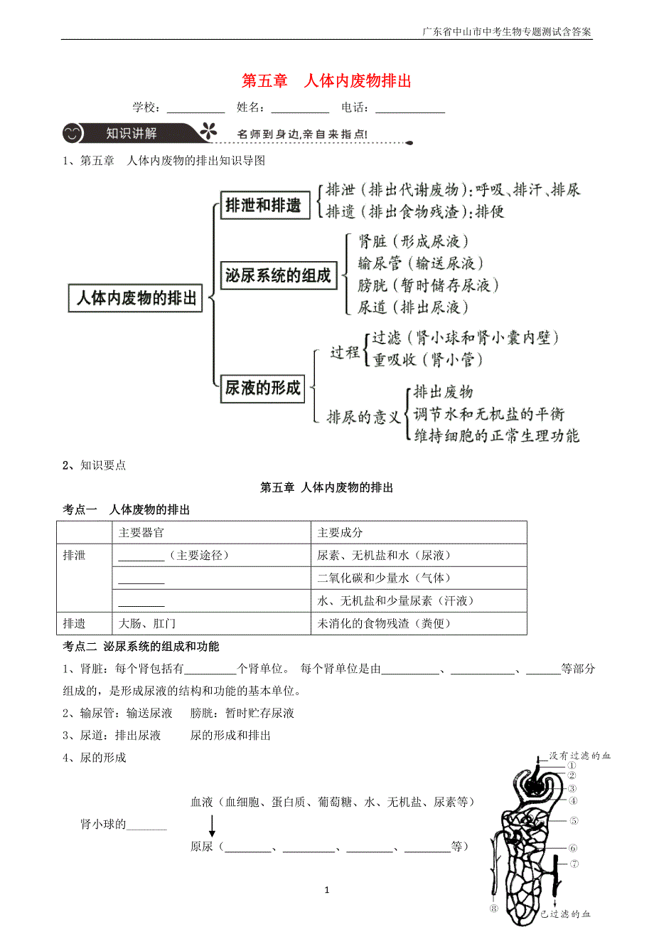 广东省中山市2018年中考生物专题复习第四单元生物圈中的人第五章人体内废物排出_第1页