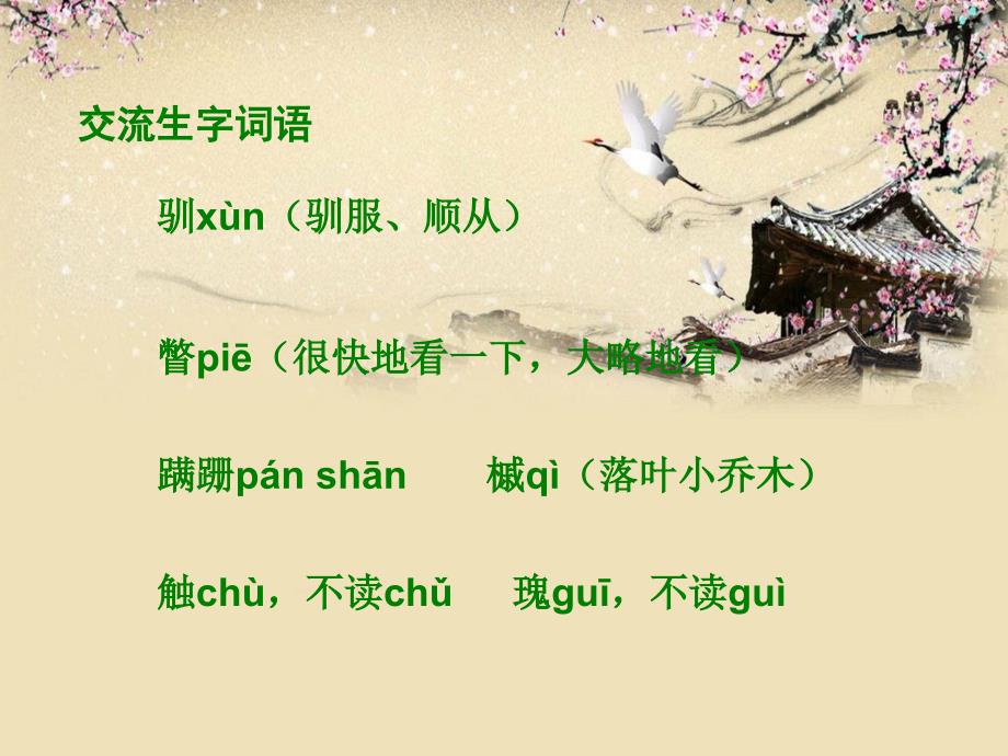 下载北师大版六年级语文下册《山中杂记1》ppt课件_第4页