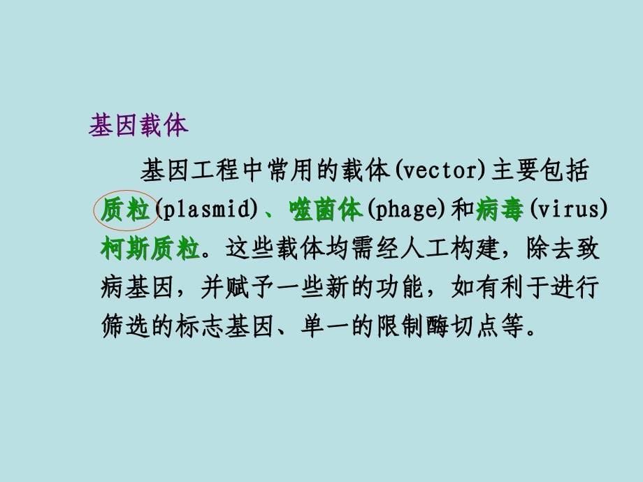 研究生实验三重组质粒dna提取双酶切鉴定ppt课件_第5页