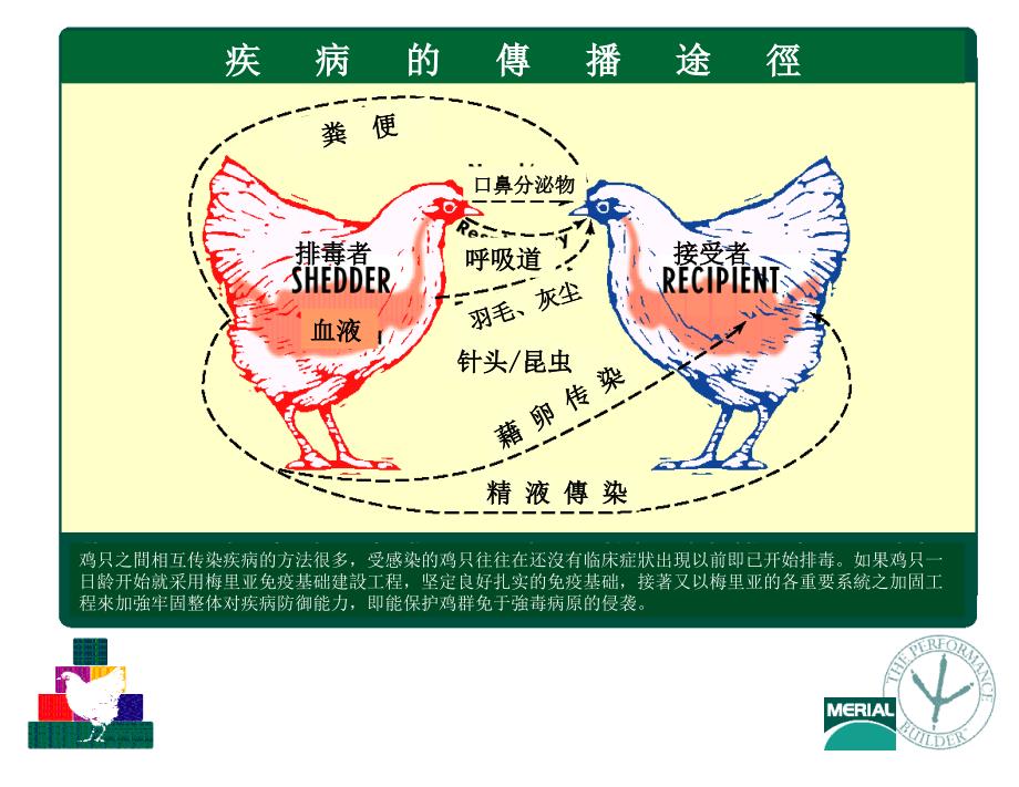 免疫抑制控制_第2页