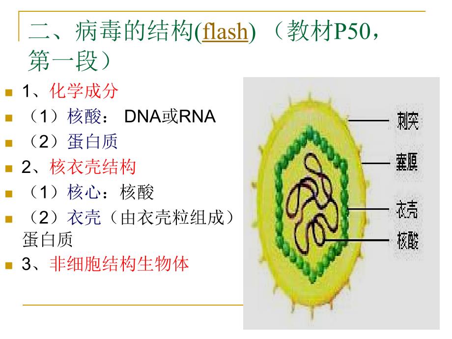 病毒——非细胞形态的生物新_第4页