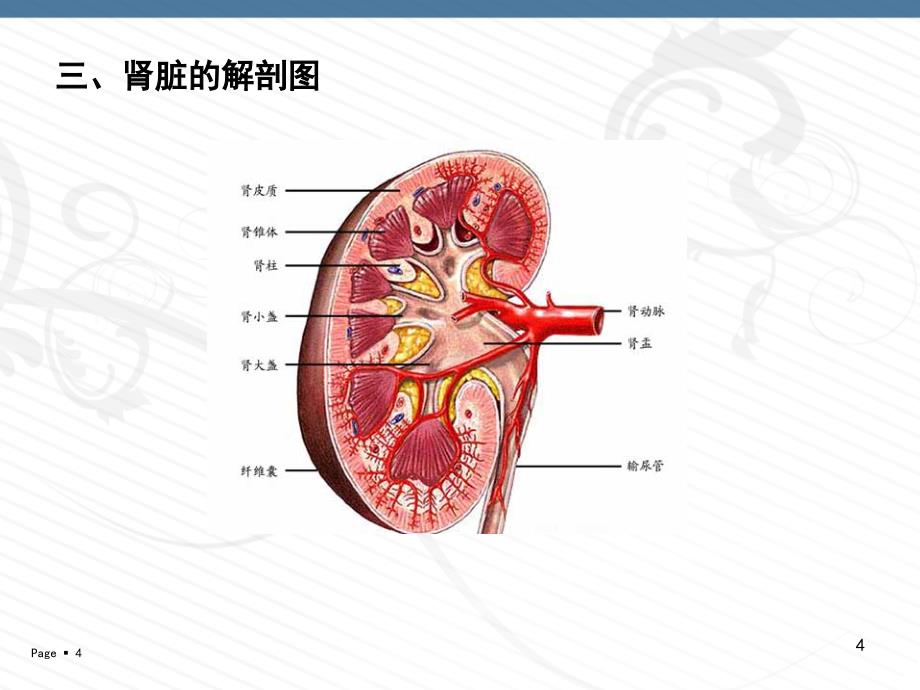 尿毒症病人的护理ppt课件_第4页