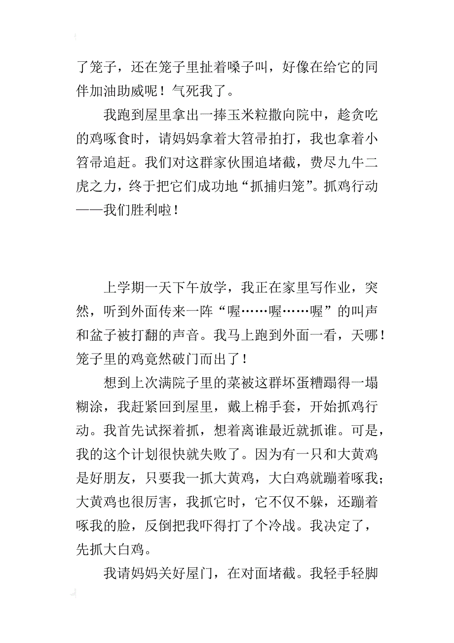 生活中的一件趣事作文400字 抓鸡行动_第2页