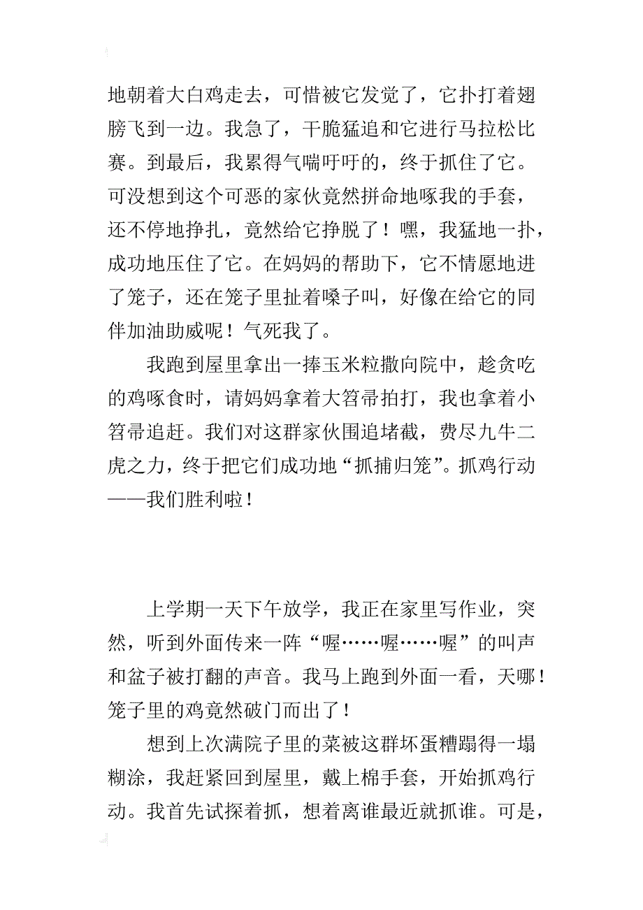 生活中的一件趣事作文400字 抓鸡行动_第3页