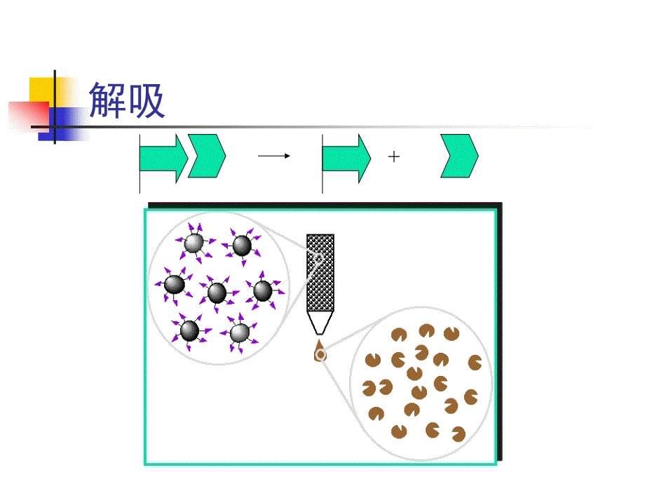 亲和层析原理和步骤_第5页