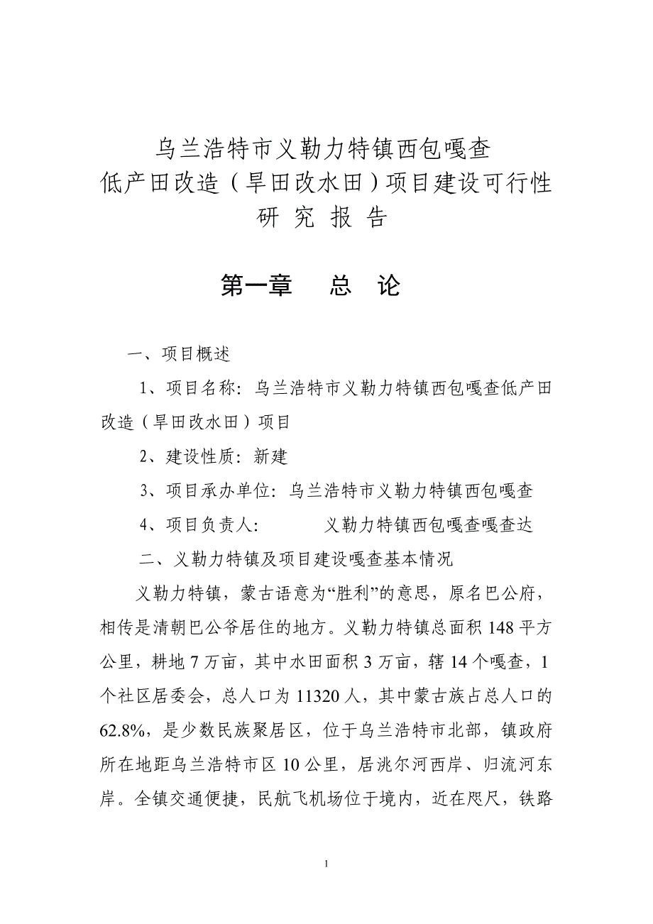 少数民族地区水稻田开发可研报告_第1页