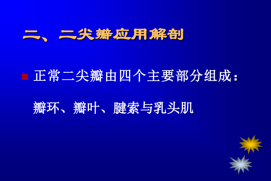 心脏瓣膜成形术新进展及其挑战ppt课件_第3页